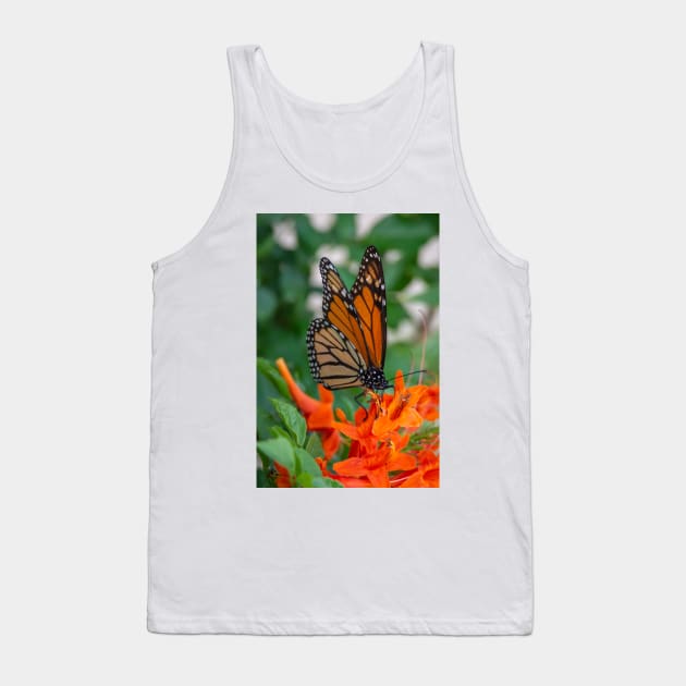 Monarch Butterfly on Cape Honeysuckle Tank Top by Debra Martz